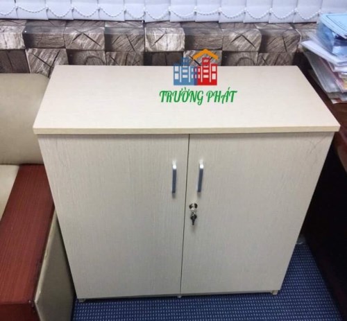 Tủ tài liệu thấp 2 cánh Tủ tài liệu thấp 2 cánh